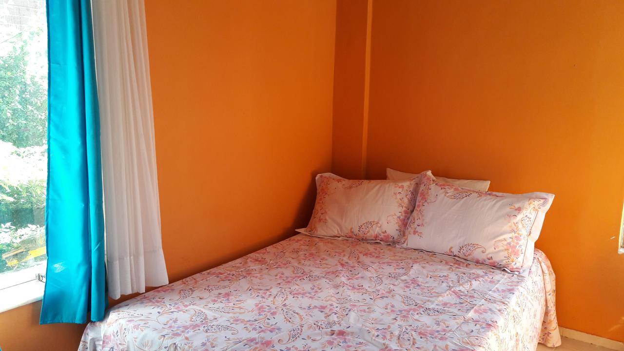 Banana Leaf Eco Hostel ริโอเดจาเนโร ภายนอก รูปภาพ